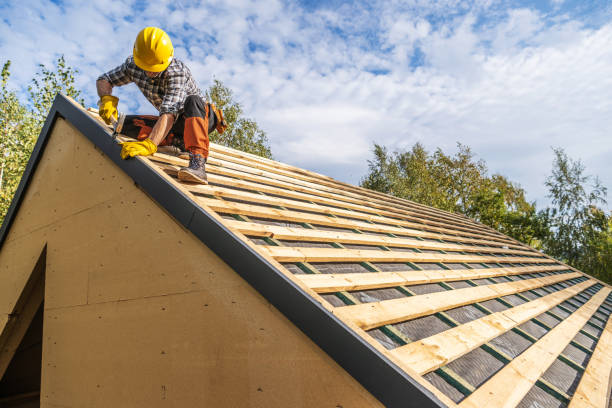 Roof Gutter Cleaning in Bartow, FL